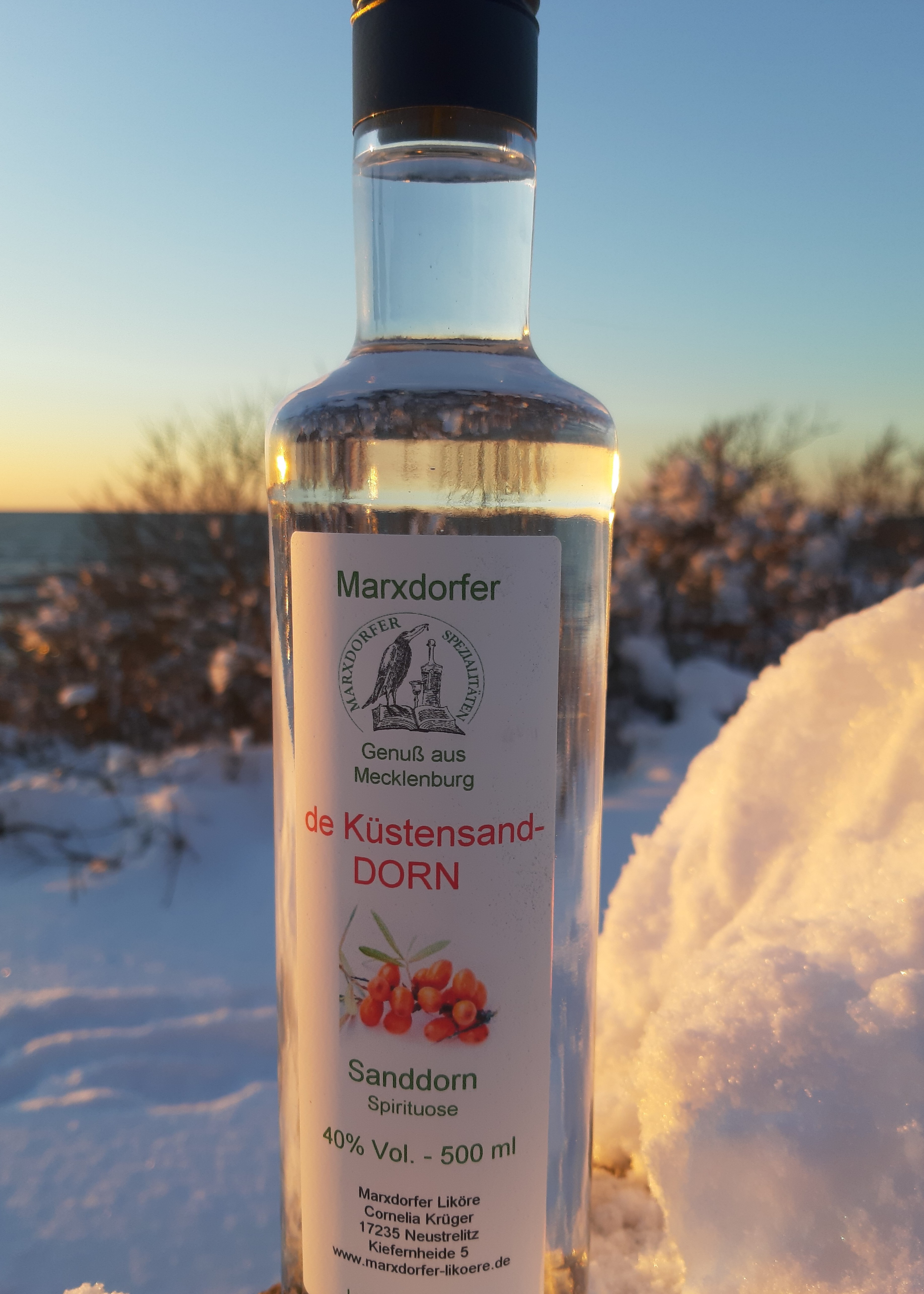 K-stensanddornM5ms0IYI6jJR7