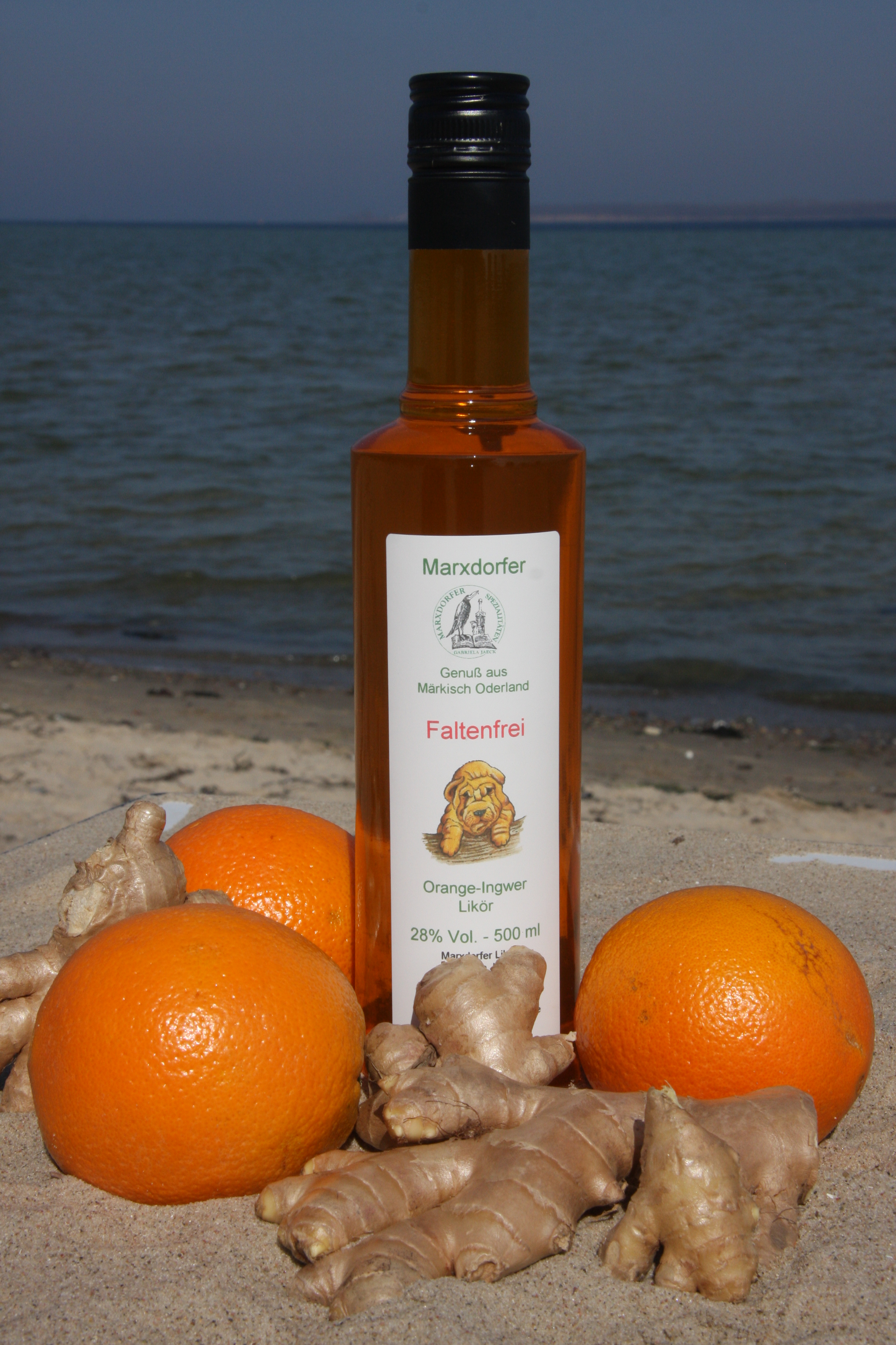 IMG_9734-Faltenfrei Faltenfrei 28 % Vol. Orange-Ingwer-Likör